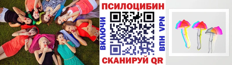 Галлюциногенные грибы Cubensis  купить наркоту  Пятигорск 